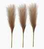 Set Of 3 Brown Plastic Pampas Grass Sticks Artificial Flowers