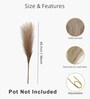 Set Of 3 Brown Plastic Pampas Grass Sticks Artificial Flowers