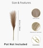 Set Of 6 Brown Plastic Pampas Grass Sticks Artificial Flowers