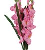 Pink Fabric Artificial Glady Flower Stem, Set of 4