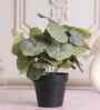 Artificial Green Begonia Plant in Black Pot