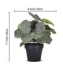Artificial Green Begonia Plant in Black Pot