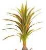 Artificial Green Dracaena Plant (Red & Green)