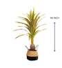 Artificial Green Dracaena Plant (Red & Green) Artificial Green Dracaena Plant (Red & Green)