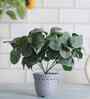 Artificial Green Eucalyptus Plant in Grey Pot