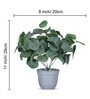 Artificial Green Eucalyptus Plant in Grey Pot