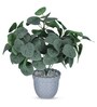 Artificial Green Eucalyptus Plant in Grey Pot
