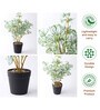 Green Artificial Green Plant Pot