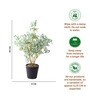 Green Artificial Green Plant Pot