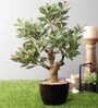 Artificial Green Yellow Croton Bonsai Plant with Pot