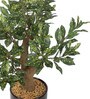Artificial Green Yellow Croton Bonsai Plant with Pot