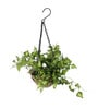 Polyester Artificial Hanging Green Ivy Creeper With Pot Artificial Plants
