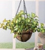 Polyester Artificial Hanging Green Ivy Creeper With Pot Artificial Plants