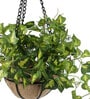 Polyester Artificial Hanging Green Ivy Creeper With Pot Artificial Plants