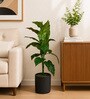 Green Fabric Artificial Jungle Velvet Plant with Pot