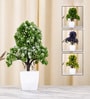 Green Fabric Artificial Mini Bonsai Tree with Pot