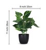 Artificial Money Plant in Black Pot