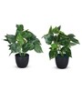 Artificial Money Plant in Black Pot