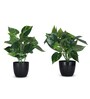 Artificial Money Plant in Black Pot