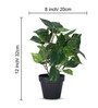 Artificial Money Plant in Black Pot