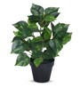 Artificial Money Plant in Black Pot