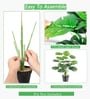 Set Of 4 Green Plastic Palm Plants Artificial Plants