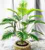 Set Of 4 Green Plastic Palm Plants Artificial Plants