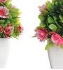 Artificial Plant Combo with Green Leaves, Red and Pink Flowers with Pot