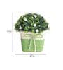Plastic With Thorny Green Leaves And Small White Flowers With Pot Artificial Plants