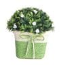 Plastic With Thorny Green Leaves And Small White Flowers With Pot Artificial Plants