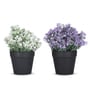 Artificial Plant with White and Purple Flowers