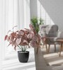 Artificial Purple Eucalyptus Plant in Black Pot