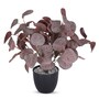 Artificial Purple Eucalyptus Plant in Black Pot