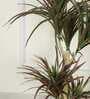Yucca Artificial Plant with Pot