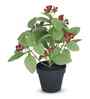 Artificial Red Blossom Plant