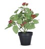 Artificial Red Blossom Plant