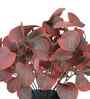 Artificial Red Eucalyptus Plant in Black Pot