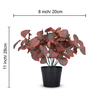 Artificial Red Eucalyptus Plant in Black Pot