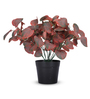 Artificial Red Eucalyptus Plant in Black Pot