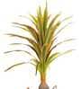 Artificial Green Dracaena Plant (Red & Green)