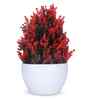 Artificial Red Thick Bush Plant in White Pot