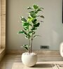 Artificial Rubber Tree