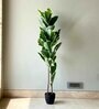 Artificial Rubber Tree