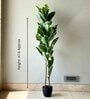 Artificial Rubber Tree