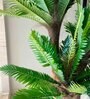 Artificial Sago Palm