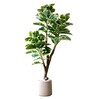 Artificial Shaded Rubber Plant