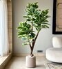 Artificial Shaded Rubber Plant
