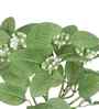 Artificial White Buds Plant