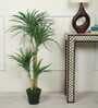Green Yucca Artificial Plant with Pot
