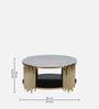 Artis Metal Round Coffee Table In Golden Base With Porcelain Top